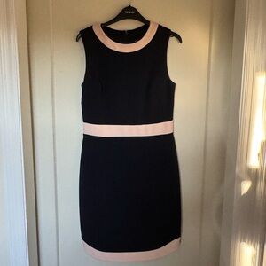 Vince Camuto Navy and Pink Dress